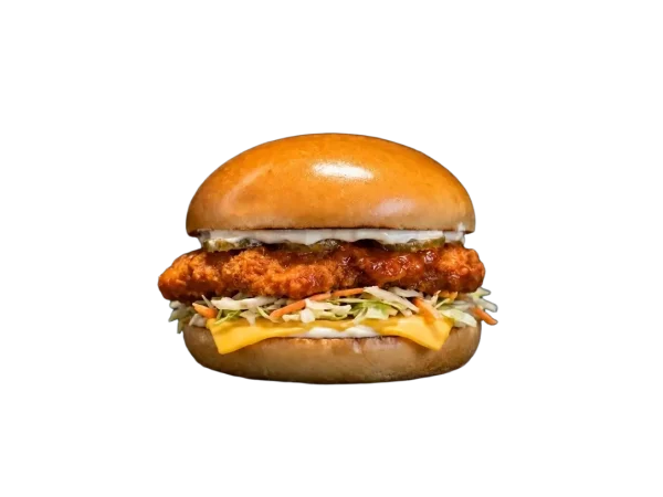 CHICKEN BURGER STORY